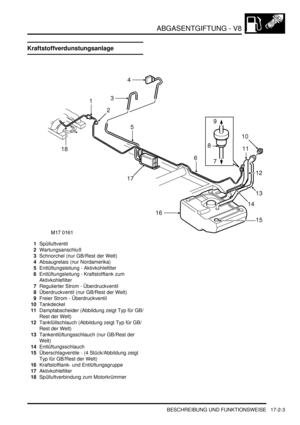 Page 371ABGASENTGIFTUNG - V8
BESCHREIBUNG UND FUNKTIONSWEISE 17-2-3
Kraftstoffverdunstungsanlage
1Spülluftventil  
2Wartungsanschluß  
3Schnorchel (nur GB/Rest der Welt)  
4Absaugrelais (nur Nordamerika)  
5Entlüftungsleitung - Aktivkohlefilter  
6Entlüftungsleitung - Kraftstofftank zum 
Aktivkohlefilter  
7Regulierter Strom - Überdruckventil  
8Überdruckventil (nur GB/Rest der Welt)  
9Freier Strom - Überdruckventil  
10Tankdeckel  
11Dampfabscheider (Abbildung zeigt Typ für GB/
Rest der Welt)...