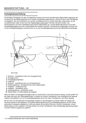 Page 386ABGASENTGIFTUNG - V8
17-2-18 BESCHREIBUNG UND FUNKTIONSWEISE
Kurbelgehäuseentlüftung
Die ölhaltigen Schadgase aus dem Kurbelgehäuse werden durch einen spiralförmigen Ölabscheider abgesaugt, der 
im Stutzen für den Belüftungsschlauch am rechten Ventildeckel angeordnet ist, und das Öl wird in den Zylinderkopf 
zurückgeführt. Der Gummischlauch vom rechten Ventildeckel führt zur rechten Seite des Luftsammlers, wo die 
zurückkehrenden Gase mit der durch die Doppelklappe angesaugten Frischluft vermischt...