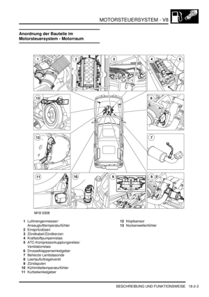 Page 463MOTORSTEUERSYSTEM - V8
BESCHREIBUNG UND FUNKTIONSWEISE 18-2-3
Anordnung der Bauteile im 
Motorsteuersystem - Motorraum
1Luftmengenmesser/
Ansauglufttemperaturfühler  
2Einspritzdüsen  
3Zündkabel/Zündkerzen  
4Kraftstoffpumpenrelais  
5ATC-Kompressorkupplungsrelais/ 
Ventilatorrelais  
6Drosselklappenwinkelgeber  
7Beheizte Lambdasonde  
8Leerlaufluftregelventil  
9Zündspulen  
10Kühlmitteltemperaturfühler  
11Kurbelwinkelgeber  12Klopfsensor  
13Nockenwellenfühler   