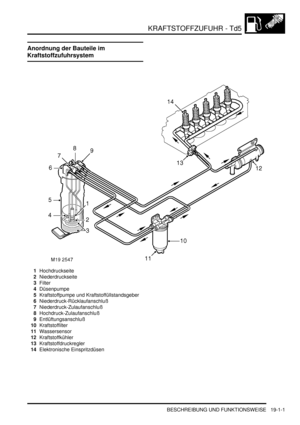 Page 553KRAFTSTOFFZUFUHR - Td5
BESCHREIBUNG UND FUNKTIONSWEISE 19-1-1
KRAFTST OFFZUFUHR - Td5 BESCHREIBUNG UND FUNKTIONSWEISE
Anordnung der Bauteile im 
Kraftstoffzufuhrsystem
1Hochdruckseite  
2Niederdruckseite  
3Filter  
4Düsenpumpe  
5Kraftstoffpumpe und Kraftstoffüllstandsgeber  
6Niederdruck-Rücklaufanschluß  
7Niederdruck-Zulaufanschluß  
8Hochdruck-Zulaufanschluß  
9Entlüftungsanschluß  
10Kraftstoffilter  
11Wassersensor  
12Kraftstoffkühler  
13Kraftstoffdruckregler  
14Elektronische Einspritzdüsen   