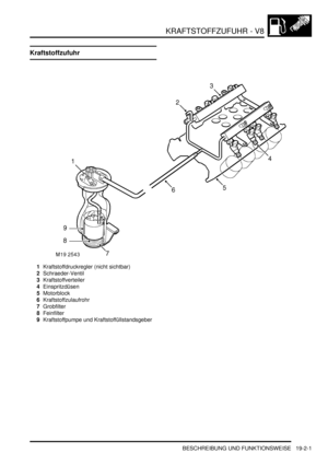 Page 575KRAFTSTOFFZUFUHR - V8
BESCHREIBUNG UND FUNKTIONSWEISE 19-2-1
KRAFTST OFFZUFUHR - V8 BESCHREIBUNG UND FUNKTIONSWEISE
Kraftstoffzufuhr
1Kraftstoffdruckregler (nicht sichtbar)  
2Schraeder-Ventil  
3Kraftstoffverteiler  
4Einspritzdüsen  
5Motorblock  
6Kraftstoffzulaufrohr  
7Grobfilter  
8Feinfilter  
9Kraftstoffpumpe und Kraftstoffüllstandsgeber   