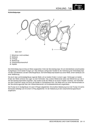 Page 605KÜHLUNG - Td5
BESCHREIBUNG UND FUNKTIONSWEISE 26-1-9
Kühlmittelpumpe
1Mitnehmer (nicht sichtbar)  
2Gehäuse  
3O-Ringe  
4Abdeckung  
5Zulaufschlauchanschluß  
6Impeller  
Die Kühlmittelpumpe ist links am Motor angeordnet, hinter der Servolenkpumpe. Ein am Zylinderblock verschraubtes 
Gußgehäuse nimmt beide Pumpen auf. Das Gehäuse verfügt über Kanäle für die Verbindung der Kühlmittelpumpe 
mit dem Zylinderblock und dem Ölkühlergehäuse. Die Kühlmittelpumpe besteht aus einer Welle, einem Gehäuse und 
einer...