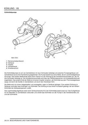 Page 624KÜHLUNG - V8
26-2-8 BESCHREIBUNG UND FUNKTIONSWEISE
Kühlmittelpumpe
1Riemenscheibenflansch  
2Gehäuse  
3Impeller  
4Verteilerkanal  
5Einlaßanschluß  
Die Kühlmittelpumpe ist vorn am Zylinderblock mit neun Schrauben befestigt und zwischen Pumpengehäuse und 
Zylinderblock durch eine Flachdichtung abgedichtet. Die Pumpe besteht aus einer Welle, die ein Leichtmetallgehäuse 
durchragt. Das äußere Wellenende weist einen Flansch für die Anbringung der Antriebsriemenscheibe auf, die mit 
drei Schrauben...