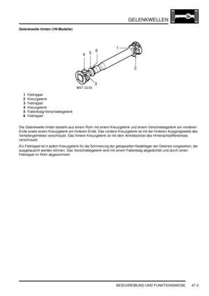 Page 861GELENKWELLEN
BESCHREIBUNG UND FUNKTIONSWEISE 47-3
Gelenkwelle hinten (V8-Modelle)
1Fettnippel  
2Kreuzgelenk  
3Fettnippel  
4Kreuzgelenk  
5Faltenbalg/Verschiebegelenk  
6Fettnippel  
Die Gelenkwelle hinten besteht aus einem Rohr mit einem Kreuzgelenk und einem Verschiebegelenk am vorderen 
Ende sowie einem Kreuzgelenk am hinteren Ende. Das vordere Kreuzgelenk ist mit der hinteren Ausgangswelle des 
Verteilergetriebes verschraubt. Das hintere Kreuzgelenk ist mit dem Antriebsritzel des...