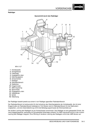 Page 881VORDERACHSE
BESCHREIBUNG UND FUNKTIONSWEISE 54-3
Radträger
Querschnitt durch den Radträger
1Antriebswelle  
2Achsgehäuse  
3Faltenbalg  
4Kugelgelenk oben  
5Gleichlaufgelenk  
6Achsschenkel  
7Radlager  
8Radnabenflansch  
9Radbolzen  
10Kragenmutter  
11ABS-Impulsring  
12Spannhülse  
13Kugelgelenk unten  
14Haltebänder  
15Schild  
16Öldichtung  
Der Radträger besteht jeweils aus einem in ein Radlager gepreßten Radnabenflansch.  
Der Radnabenflansch ist kerbverzahnt für die Aufnahme des...