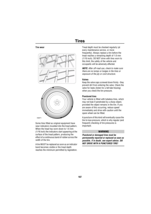 Page 188Tires
187
Tire wear 
Some tires fitted as original equipment have 
wear indicators moulded into the tread pattern. 
When the tread has worn down to 1.6 mm 
(1/16 inch) the indicators start appearing at the 
surface of the tread pattern, producing the 
effect of a continuous band of rubber across the 
width of the tire.
A tire MUST be replaced as soon as an indicator 
band becomes visible or the tread depth 
reaches the minimum permitted by legislation.Tread depth must be checked regularly (at 
every...