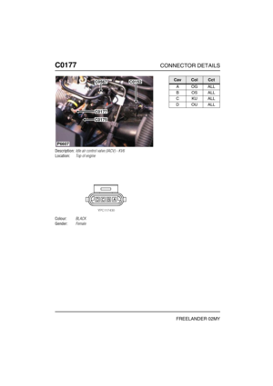 Page 299C0177CONNECTOR DETAILS
FREELANDER 02MY
C017 7
Description:Idle air control valve (IACV) - KV6
Location:Top of engine
Colour:BLACK
Gender:Female
P6607
C0567
C0177
C0175
C0152CavColCct
AOGALL
BOSALL
CKUALL
DOUALL 