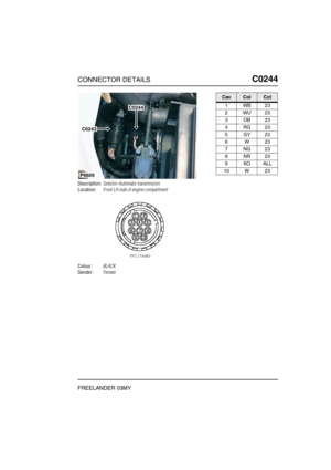 Page 326CONNECTOR DETAILSC0244
FREELANDER 03MY
C0 244
Description:Selector-Automatic transmission
Location:Front LH side of engine compartment
Colour:BLACK
Gender:Female
P6605
C0244
C0243
CavColCct
1WB23
2WU23
3OB23
4RG23
5GY23
6W23
7NG23
8NR23
9KOALL
10 W 23 