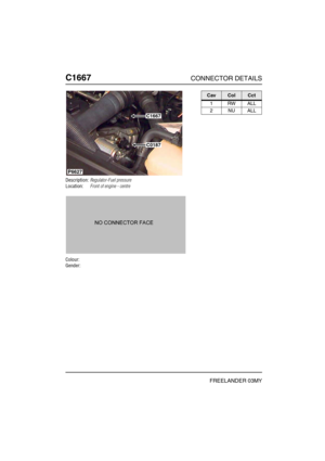 Page 579C1667CONNECTOR DETAILS
FREELANDER 03MY
C166 7
Description:Regulator-Fuel pressure
Location:Front of engine - centre
Colour:
Gender:
P6627
C1667
C0187
CavColCct
1RWALL
2NUALL 