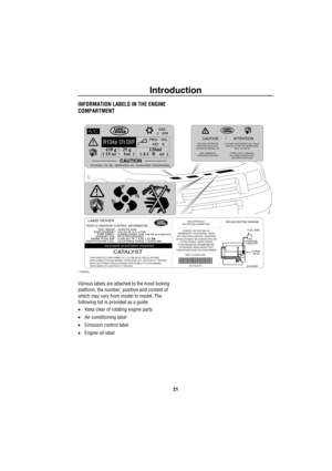 Page 22Introduction
21
INFORMATION LABELS IN THE ENGINE 
COMPARTMENT 
Various labels are attached to the hood locking 
platform, the number, position and content of 
which may vary from model to model. The 
following list is provided as a guide:
•Keep clear of rotating engine parts
•Air conditioning label
•Emission control label
•Engine oil label
J
120ml 430 g     25 g
4.1 fl oz((15 oz  1oz ((
CAUTIONSYSTEM  TO  BE  SERVICED  BY  QUALIFIED  PERSONNEL.
PAG   OIL
ND   8
SAE639A/C
R134aCF3 CH2F
VACUUM ROUTING...