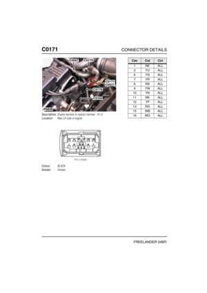 Page 281C0171CONNECTOR DETAILS
FREELANDER 04MY
C017 1
Description:Engine harness to injector harness - K1.8
Location:Rear LH side of engine
Colour:BLACK
Gender:Female
P6838
C0175
C0171C0521
C0176
C0164
C0567CavColCct
1NKALL
2YUALL
6YGALL
7YRALL
8KBALL
9YWALL
10 YN ALL
11 NK ALL
12 YP ALL
13 RG ALL
15 WB ALL
16 WO ALL 