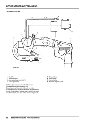 Page 275MOTORSTEUERSYSTEM - MEMS
18
BESCHREIBUNG UND FUNKTIONSWEISE
LUFTANSAUGSYSTEM
1.Luftfilter
2.Drosselklappe
3.Leerlaufluftregelventil (IACV)
4.Ansaugkrümmer5.Einspritzdüse
6.Spülluftventil
7.Aktivkohlefilter
8.Motorsteuergerät (ECM)
Die Ansaugluft wird durch einen Luftfilter in das
Drosselklappengehäuse gesaugt. Vom
Drosselklappengehäuse strömt die Luft durch die
Krümmerkammer in den Ansaugkrümmer, wo sie mit dem
von den Einspritzdüsen eingespritzten Kraftstoff gemischt
wird; das Gemisch wird dann in den...