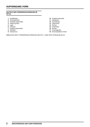 Page 555AUFHÄNGUNG VORN
2
BESCHREIBUNG UND FUNKTIONSWEISE
BAUTEILE DER VORDERRADAUFHÄNGUNG IM
DETAIL
1.Stoßdämpfer
2.Schraubenfeder
3.Ausfederungsscheibe
4.Halterung oben
5.Lager
6.Federsitz
7.Einfederungsscheibe
8.Hilfsfeder
9.Staubschutz10.Einfederungsschale
11.Stabilisator
12.Druckstange
13.Hilfsrahmen
14.Buchse
15.Unterlenker
16.Buchse
17.Anschlagpuffer
18.Buchsengehäuse hinten
ABBILDUNG ZEIGT VORDERRADAUFHÄNGUNG RECHTS - LINKE SEITE SPIEGELBILDLICH 