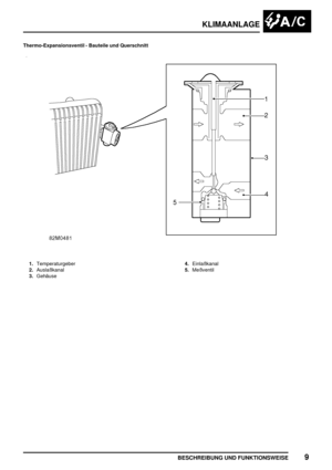 Page 846KLIMAANLAGE
BESCHREIBUNG UND FUNKTIONSWEISE9
Thermo-Expansionsventil - Bauteile und Querschnitt
1.Temperaturgeber
2.Auslaßkanal
3.Gehäuse4.Einlaßkanal
5.Meßventil 