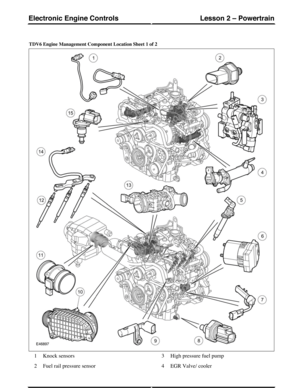 Page 102TDV6 Engine Management Component Location Sheet 1 of 2
Knock sensors1
Fuel rail pressure sensor2
High pressure fuel pump3
EGR Valve/ cooler4
(G421152) Technical Training218
Lesson 2 – PowertrainElectronic Engine Controls 