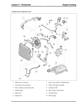 Page 135Cooling System Component Layout
Heater hose, in and out1
Connections for rear heater2
Hose, radiator to expansion tank3
Throttle body4
EGR valve5
Bleed screw6
Hose, water outlet to cylinder block7
Water outlet pipe assembly8
Expansion tank9
Hose, heater to thermostat10
Cylinder block11
Water pump12
Engine CoolingLesson 2 – Powertrain
121Technical Training (G421100) 