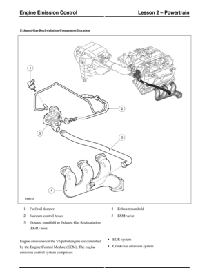 Page 154Exhaust Gas Recirculation Component Location
Fuel rail damper1
Vacuum control hoses2
Exhaust manifold to Exhaust Gas Recirculation
(EGR) hose
3
Exhaust manifold4
ESM valve5
Engine emissions on the V6 petrol engine are controlled
by the Engine Control Module (ECM). The engine
emission control system comprises:
•EGR system
•Crankcase emission system
(G421133) Technical Training166
Lesson 2 – PowertrainEngine Emission Control 