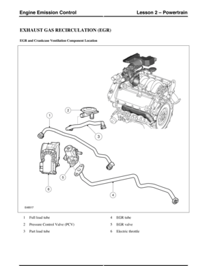 Page 158EXHAUST GAS RECIRCULATION (EGR)
EGR and Crankcase Ventilation Component Location
Full load tube1
Pressure Control Valve (PCV)2
Part load tube3
EGR tube4
EGR valve5
Electric throttle6
(G421134) Technical Training170
Lesson 2 – PowertrainEngine Emission Control 