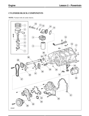 Page 167CYLINDER BLOCK COMPONENTS
NOTE: Variant with oil cooler shown.
(G421093) Technical Training18
Lesson 2 – PowertrainEngine 