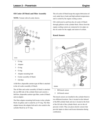 Page 172Oil Cooler (If Fitted) and Filter Assembly
NOTE: Variant with oil cooler shown.
O ring1
Adapter2
O ring3
O ring4
Adapter mounting bolt5
Cooler assembly (if fitted)6
Oil filter7
A full-flow, disposable canister-type oil filter is attached
to the oil cooler assembly (if fitted).
The oil filter and cooler assembly (if fitted) is attached
the rear RH side of the cylinder block and consists a
full-flow, disposable canister-type filter, cooler (if fitted)
and an adapter.
The filter adapter-mounting bolt...