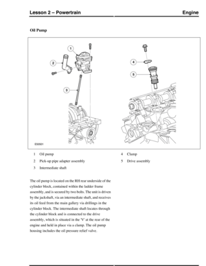 Page 180Oil Pump
Oil pump1
Pick-up pipe adapter assembly2
Intermediate shaft3
Clamp4
Drive assembly5
The oil pump is located on the RH rear underside of the
cylinder block, contained within the ladder frame
assembly, and is secured by two bolts. The unit is driven
by the jackshaft, via an intermediate shaft, and receives
its oil feed from the main gallery via drillings in the
cylinder block. The intermediate shaft locates through
the cylinder block and is connected to the drive
assembly, which is situated in the...