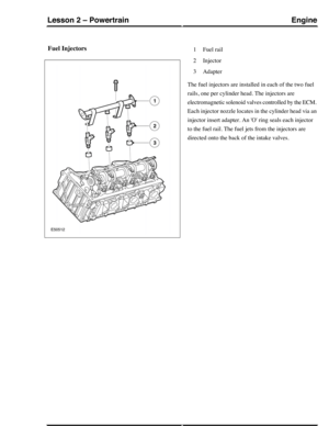 Page 192Fuel InjectorsFuel rail1
Injector2
Adapter3
The fuel injectors are installed in each of the two fuel
rails, one per cylinder head. The injectors are
electromagnetic solenoid valves controlled by the ECM.
Each injector nozzle locates in the cylinder head via an
injector insert adapter. An O ring seals each injector
to the fuel rail. The fuel jets from the injectors are
directed onto the back of the intake valves.
EngineLesson 2 – Powertrain
43Technical Training (G421093) 