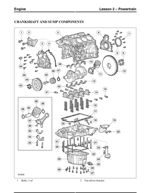 Page 241CRANKSHAFT AND SUMP COMPONENTS
Bolts, 3 of1Fan driver bracket2
(G421095) Technical Training92
Lesson 2 – PowertrainEngine 