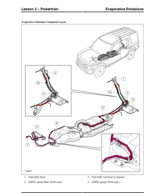 Page 264Evaporative Emissions Component Layout
Fuel filler head1
DMTL pump filter (NAS only)2
Fuel tank vent hose to canister3
DMTL pump (NAS only)4
Evaporative EmissionsLesson 2 – Powertrain
177Technical Training (G421145) 