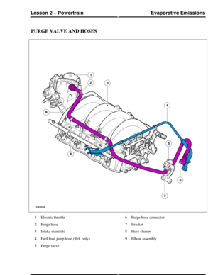 Page 266PURGE VALVE AND HOSES
Electric throttle1
Purge hose2
Intake manifold3
Fuel feed jump hose (Ref. only)4
Purge valve5
Purge hose connector6
Bracket7
Hose clamps8
Elbow assembly9
Evaporative EmissionsLesson 2 – Powertrain
179Technical Training (G421145) 