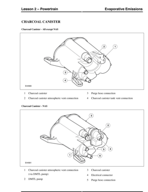 Page 268CHARCOAL CANISTER
Charcoal Canister - All except NAS
Charcoal canister1
Charcoal canister atmospheric vent connection2
Purge hose connection3
Charcoal canister tank vent connection4
Charcoal Canister - NAS
Charcoal canister atmospheric vent connection
(via DMTL pump)
1
DMTL pump2
Charcoal canister3
Electrical connector4
Purge hose connection5
Evaporative EmissionsLesson 2 – Powertrain
181Technical Training (G421145) 