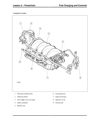 Page 307Component Location
Electronic throttle body1
Induction elbow2
Fuel supply cross over pipe3
Intake manifold4
RH fuel rail5
Fuel jump hose6
Injector housing7
Injectors (8 of)8
LH fuel rail9
Fuel Charging and ControlsLesson 2 – Powertrain
143Technical Training (G421107) 