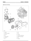 Page 239High-Pressure Fuel Pump
Fuel pipe1
Diverter rail assembly2
Rear cover3
Belt4
Fuel pump pulley5
Front cover6
Nut7
Bolt8
Bolt9
Tensioner10
LH exhaust camshaft pulley11
High pressure fuel pump12
Bolt13
Stud bolts14
(G421095) Technical Training90
Lesson 2 – PowertrainEngine 