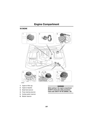 Page 257257
Engine Compartment
R
V6 ENGINE
1.Engine oil filler cap.
2.Engine oil dipstick.
3.Brake fluid reservoir.
4.Power steering reservoir.
5.Cooling system reservoir.
6.Washer reservoir.WARNING
While working in the engine compartment, 
ALWAYS observe the safety precautions 
listed under SAFETY IN THE GARAGE, 252.
123
456
H5656L 