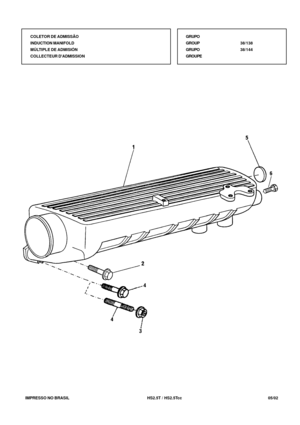 Page 180   IMPRESSO NO BRASIL          HS2.5T / HS2.5Tcc   05/02
GRUPO
GROUP38/138
GRUPO38/144
GROUPE COLETOR DE ADMISSÃO
INDUCTION MANIFOLD
MÚLTIPLE DE ADMISIÓN
COLLECTEUR DADMISSION 