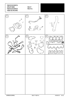 Page 43     IMPRESSO NO BRASIL                   HS2.5T / HS2.5Tcc                81000091 A        05/02
ÍNDICE DE GRUPOS
GROUP INDEX HS2.5T
ÍNDICE DE GRUPOSHS2.5Tcc
INDEX DE GROUPES
74 76
0000
75
78 