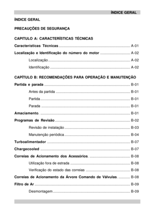 Page 3ÍNDICE GERAL
ÍNDICE GERAL
PRECAUÇÕES DE SEGURANÇA
CAPITULO A: CARACTERÍSTICAS TÉCNICAS
Características Técnicas..........................................................................A-01
Localização e Identificação do número do motor...............................A-02
Localização.....................................................................................A-02
Identificação...................................................................................A-02
CAPÍTULO B: RECOMENDAÇÕES PARA...