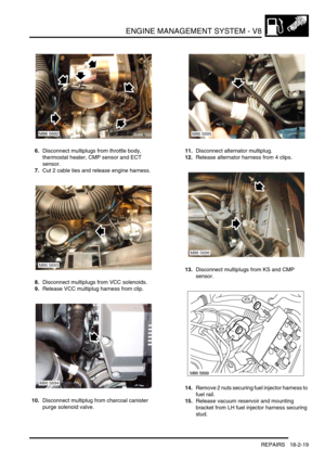 Page 290ENGINE MANAGEMENT SYSTEM - V8
REPAIRS 18-2-19
6.Disconnect multiplugs from throttle body, 
thermostat heater, CMP sensor and ECT 
sensor.
7.Cut 2 cable ties and release engine harness.
8.Disconnect multiplugs from VCC solenoids.
9.Release VCC multiplug harness from clip.
10.Disconnect multiplug from charcoal canister 
purge solenoid valve.11.Disconnect alternator multiplug.
12.Release alternator harness from 4 clips.
13.Disconnect multiplugs from KS and CMP 
sensor.
14.Remove 2 nuts securing fuel...