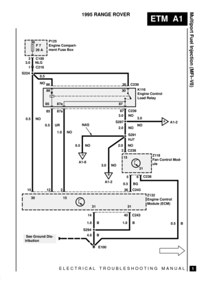 Page 170.5
NO
ELECTRICAL TROUBLESHOOTING MANUAL
ETM  A1
Multiport Fuel Injection (MFI±V8)
1
1995 RANGE ROVER
30
F 7
20 A
86
85 87a 8730
30 15
31 3131 15 P125
Engine Compart-
ment Fuse Box
K116
Engine Control
Load Relay
Z118
Fan Control Mod-
ule
Z132
Engine Control
Module (ECM)
 See Ground Dis-
tribution3 C100
1 C216
30 C239 86
85 87a87 C239
2 C238
6C238
5
40 C243 1436 C243 2 12 15 S224
S297
S291
HJ7
S294 3.0 NLG
3.0 NO
2.0 NO
2.0 NO 0.5 NO
0.5 BG
0.5 B 1.0 B 1.0 B
4.0 B 1.0 NO 0.5 UR 0.5 NO
E100
G
A1-8
3.0...