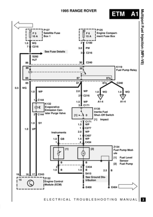 Page 19ELECTRICAL TROUBLESHOOTING MANUAL
ETM A1
Multiport Fuel Injection (MFI±V8)
3
1995 RANGE ROVER
M
D
A1-4 C216
E
A1-4
P127
Satellite Fuse
Box 1P125
Engine Compart-
ment Fuse Box
K119
Fuel Pump Relay
X135
Inertia Fuel
Shut±Off Switch
[1] Impact K132
Evaporative
Emission Can-
ister Purge Valve
Z132
Engine Control
Module (ECM)Z134
Fuel Pump Mod-
ule
[1] Fuel Level
Sensor
[2] Fuel Pump 15 30
86
85 87 87a30
[1] 0
[1] [2]
15F 3 F 6
10 A 15 A
C216 1.0 WG
7
0.5 WG
1.0 UP1.0 WP
1.0 SY
1.0 GB2.0 WP 1.5 WP 2.0 WP3.0...