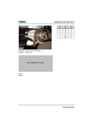 Page 313C0603CONNECTOR DETAILS
RANGE ROVER
C060 3
Description:Engine control module (ECM) - V8
Location:Inside E-box
Colour:
Gender:
P7039
C0604
C0603
C0606
C0332
C0331
CavColCct
4N3
5N3
6N3
7R3
8RU3 