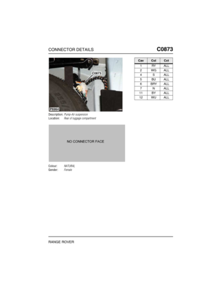 Page 364CONNECTOR DETAILSC0873
RANGE ROVER
C0 873
Description:Pump-Air suspension
Location:Rear of luggage compartment
Colour:NATURAL
Gender:Female
C0873
P6964
CavColCct
1RYALL
2WGALL
4SALL
5BUALL
6BRYALL
7NALL
11 BY ALL
12 WU ALL 