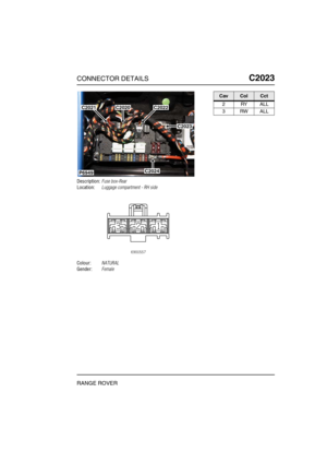 Page 454CONNECTOR DETAILSC2023
RANGE ROVER
C2 023
Description:Fuse box-Rear
Location:Luggage compartment - RH side
Colour:NATURAL
Gender:Female
P6949
C2021C2022
C2023
C2020
C2024
CavColCct
2RYALL
3RWALL 