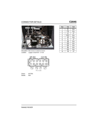 Page 474CONNECTOR DETAILSC2045
RANGE ROVER
C2 045
Description:Main harness to telephone harness
Location:Luggage compartment - LH side
Colour:NATURAL
Gender:Male
P6980
C0493
C2234C2045C2066
C0492
C0491
C0947
CavColCct
1RYALL
2PWALL
3UY27
4 WSY ALL
5SRALL
6W27
7NBALL
8WNALL
9BWALL
10 BN ALL
11 WG ALL
12 YN 27 