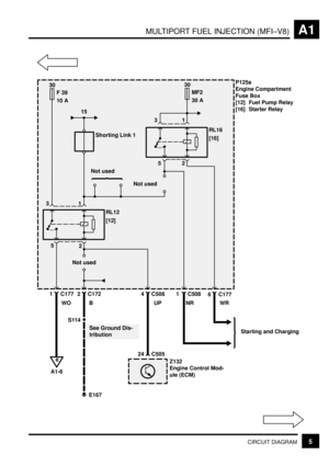 Page 21MULTIPORT FUEL INJECTION (MFI±V8)A1
5CIRCUIT DIAGRAM
Shorting Link 1
30
F 39
10 A
B
A1-6
15
30
MF2
30 AP125a
Engine Compartment
Fuse Box
[12] Fuel Pump Relay
[16] Starter Relay
Starting and Charging
Z132
Engine Control Mod-
ule (ECM)
Not used
Not used
See Ground Dis-
tribution Not used
RL16
[16]
RL12
[12]
E167 31
5
2
1 C177 2 C17231
WO52
4 C508 1 C508
6 C177
UP NR WR
24 C505
B
S114 