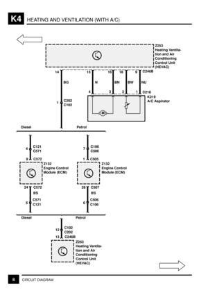 Page 218HEATING AND VENTILATION (WITH A/C)K4
8CIRCUIT DIAGRAM
M
Z253
Heating Ventila-
tion and Air
Conditioning
Control Unit
(HEVAC)
14 15 16 18 9C246B
BG N BN BW NU
4321
C218
K219
A/C Aspirator
Diesel Petrol
4C121
C571
9 C572
Z132
Engine Control
Module (ECM)7C106
C506
1 C505
Z132
Engine Control
Module (ECM)
24 C572
BS
5C571
C121
Diesel Petrol28 C507
BS
6C506
C106
12C102
C202
13 C246B
Z253
Heating Ventila-
tion and Air
Conditioning
Control Unit
(HEVAC)
1C202
C102 