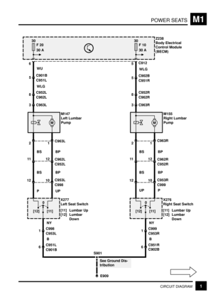 Page 236POWER SEATSM1
1CIRCUIT DIAGRAM
30
F 20
30 A
6
5C901B
C951LWU
8C952L
C962L
3 C963L
M
M147
Left Lumbar
Pump
2
12
11BS
BS
P
1C963L
10C953L
C998
12
C962L
C952LBP
BP
UP
[12] [11]X277
Left Seat Switch
[11] Lumbar Up
[12] Lumbar
Down
0
1C998
C953LNY
6C951L
C901BB
30
F 10
30 A
5C912
5C902B
C951RWLG
8C952R
C962R
3 C963R
M
2
12
11BS
BS
UP
1C963R
10C953R
C999
12
C962R
C952RBP
BP
P
[12] [11]
0
1C999
C953RNY
6
C902BBZ238
Body Electrical
Control Module
(BECM)
S901
E909
See Ground Dis-
tribution
WLG
X276
Right Seat...