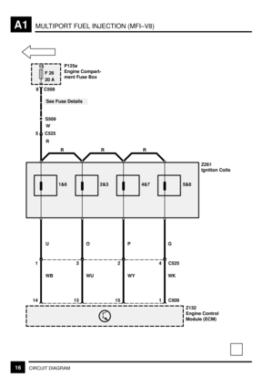 Page 32MULTIPORT FUEL INJECTION (MFI±V8)A1
16CIRCUIT DIAGRAM
C509 1314
Z132
Engine Control
Module (ECM)
S509
Z261
Ignition Coils
151 3 2 4 C525 11&6 2&3 4&7 5&8 5 C525W
See Fuse DetailsP125a
Engine Compart-
ment Fuse Box
15
F 26
20 A
WB WU WY WK
R
RR R
UO PG
C508 8 