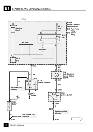 Page 48STARTING AND CHARGING (PETROL)B1
2CIRCUIT DIAGRAM
P125a
Engine Compart-
ment Fuse Box
[12] Fuel Pump
Relay
[16] Starter
Relay30
MF 2
30 A15
RL16
[16]
Not used
RL12
[12]
Not used31
2 5
P104
Battery
See Power Dis-
tributionK136
Starter Solenoid
See Ground Dis-
tribution
6 C177
2C113WR1 C508
NR R
R
R
B
6 C257
2 C238WR
4 C238
B
0III
IIIZ238
Body Electrical
Control Module
(BECM)
X134
Ignition Switch
S215M
See Ground Dis-
tribution
M134
Starter
Shorting
Link 1
E181 E252 1
30 50
Petrol
1 C516 