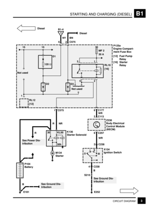 Page 49STARTING AND CHARGING (DIESEL)B1
3CIRCUIT DIAGRAM
P125a
Engine Compart-
ment Fuse Box
[12] Fuel Pump
Relay
[16] Starter
Relay30
MF 2
30 A15
RL16
[16]
Not used
RL12
[12]
31
2 5
P104
Battery
See Power Dis-
tributionK136
Starter Solenoid
See Ground Dis-
tribution
6 C177
2C113WR1 C575
NR R
R
B
6 C257
2 C238WR
4 C238
B
0Z238
Body Electrical
Control Module
(BECM)
X134
Ignition Switch
S215M
See Ground Dis-
tribution
M134
Starter
E181 E252 1
30 KL50
Not used
D3
D1
D2 120 
15
62
A
B1-4
Diesel
NY BN
C575
30h
III...