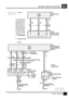 Page 62CRUISE CONTROL (PETROL)B5
7CIRCUIT DIAGRAM
Z121
Cruise Control
ECU
C243
61
OU
Z238
Body Electrical
Control Module
(BECM)
4
YG
2
See Ground Dis-
tribution
1
B
S215
E252 C230
8
X200
Clutch Pedal Position
Switch
[1] Clutch Pedal De-
pressed
[1] 0
UBAutomatic
Transmission
C230
7
OR OK
8 C204910
C15713
M103
Cruise Control
Vacuum Pump2
Manual
Transmission
M
P01 1
R00 1
N10 1
D10 0
3000
2010
1110
Z* 1 1 1
XY Z
1
X294
Gear Box Posi-
tion Switch
[1] X Switch
[2] Y Switch
[3] Z Switch
[1]
0
9
UP
2
See Ground Dis-...